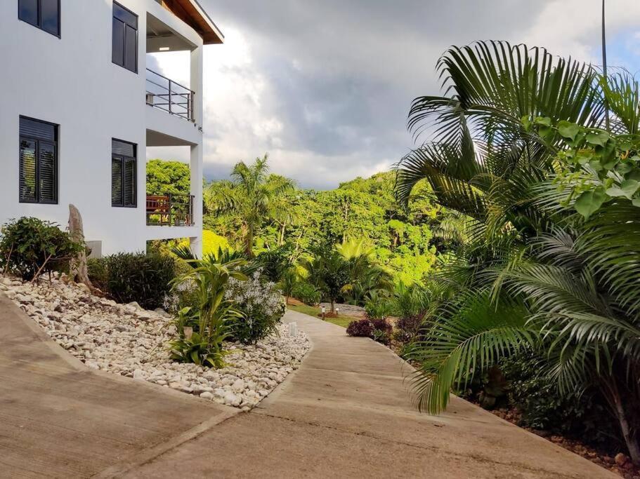 The Willow Apartment Ocho Rios Dış mekan fotoğraf