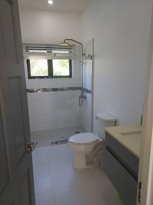 The Willow Apartment Ocho Rios Dış mekan fotoğraf