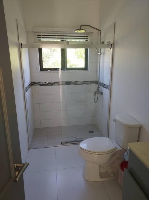 The Willow Apartment Ocho Rios Dış mekan fotoğraf