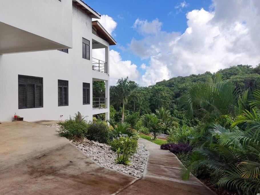The Willow Apartment Ocho Rios Dış mekan fotoğraf