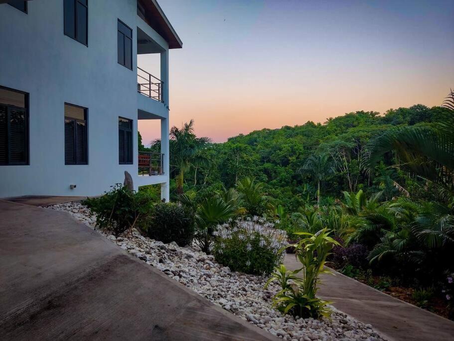 The Willow Apartment Ocho Rios Dış mekan fotoğraf