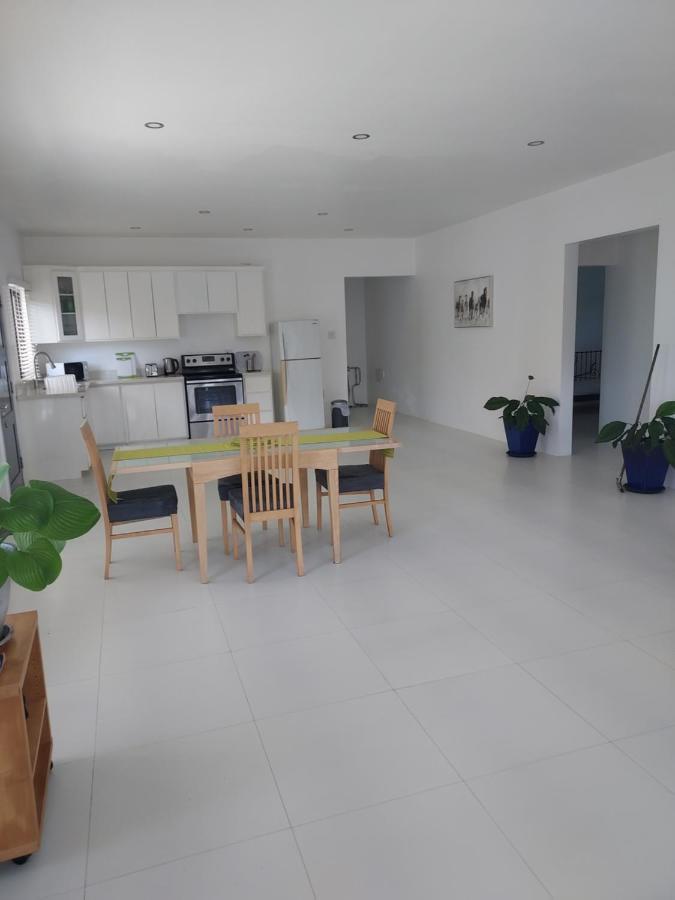 The Willow Apartment Ocho Rios Dış mekan fotoğraf